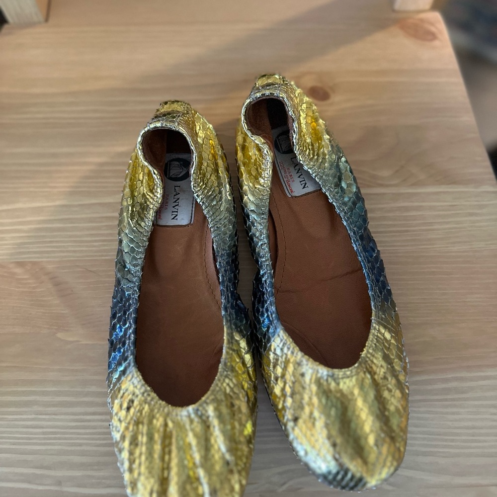Lanvin Exotic Ballet Flats - Picture 5 of 10